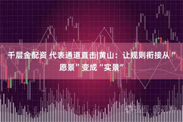 千层金配资 代表通道直击|黄山：让规则衔接从“愿景”变成“实景”